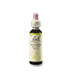 Mustard Nelsons 20 ml